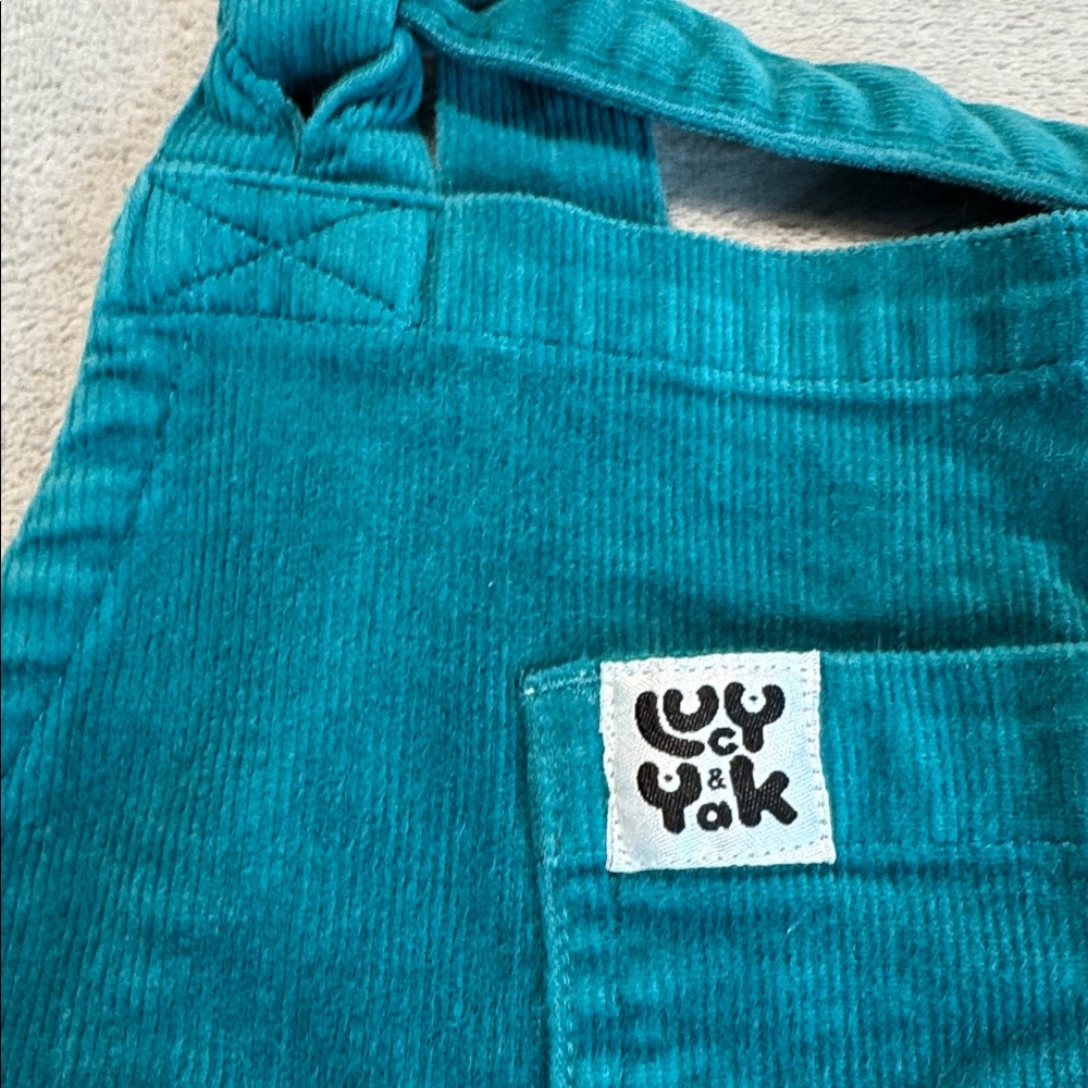 Lucy & Yak Original Organic Corduroy Dungaree Teal Size Medium - Picture 5 of 15